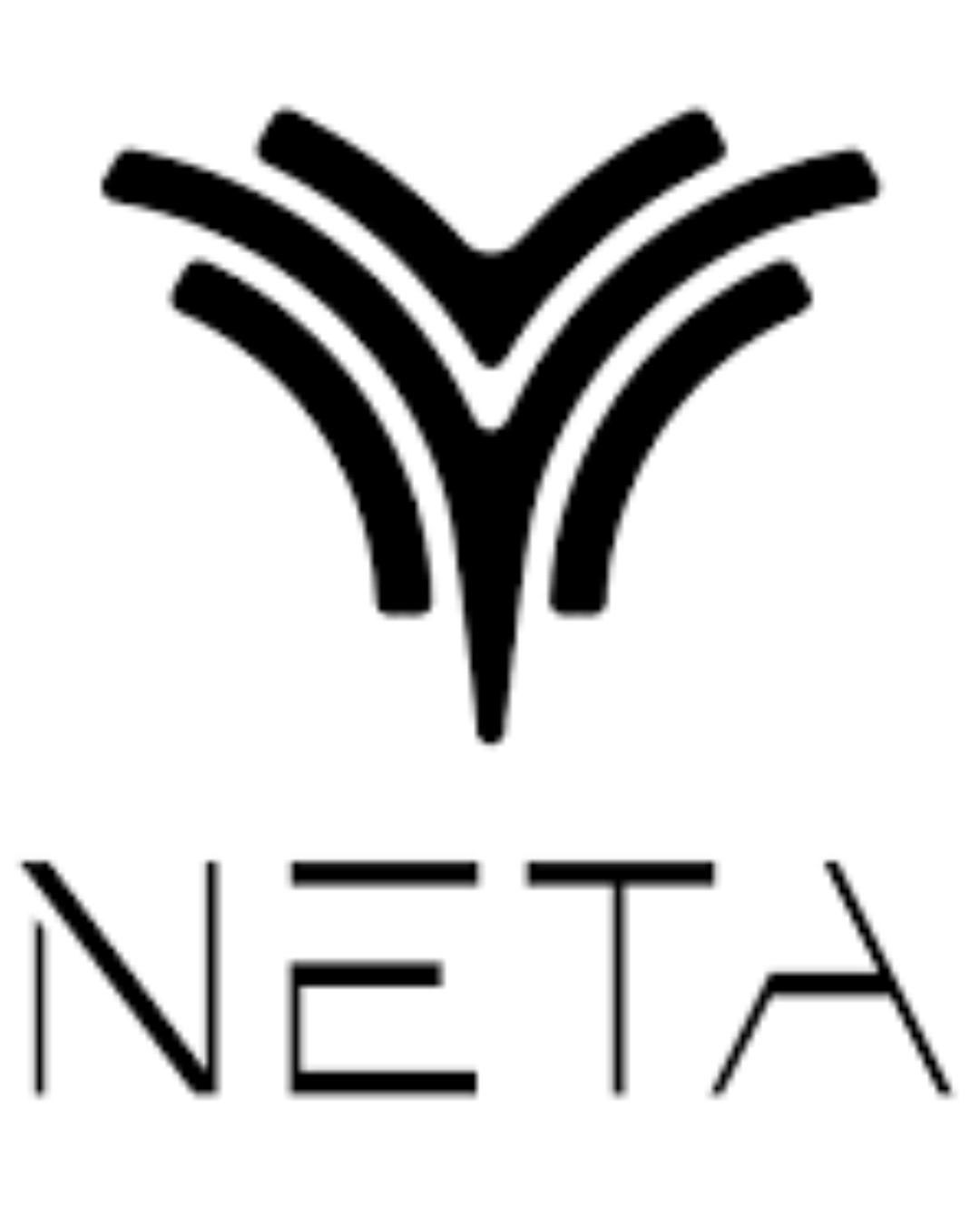 Neta