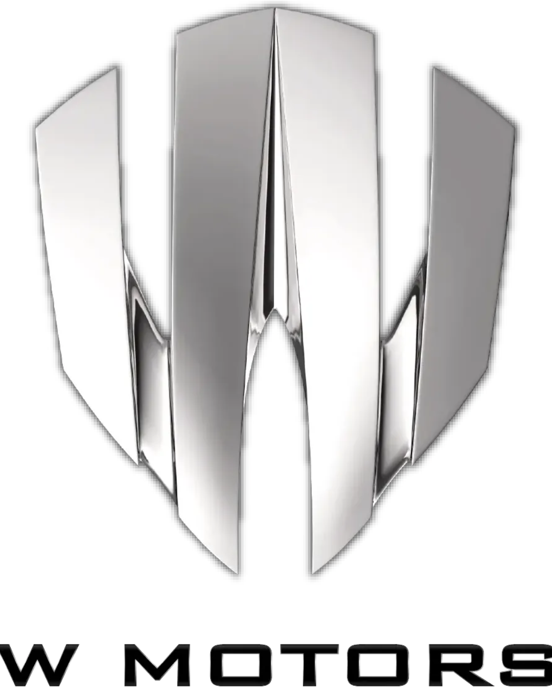 W Motors